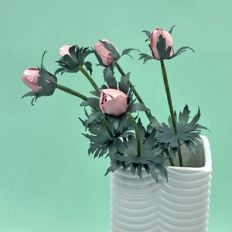 Anemone Flower Bud