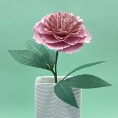 Peony Flower with Foliage