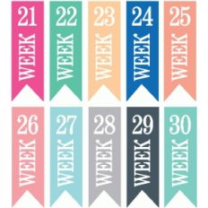 set of 10 weeks 21-30 banners