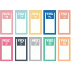 set of 10 weeks 21-30 paperclips