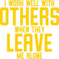 i work well with other when they leave me alone