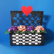 Hydrangea Planter Gift Box