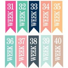 set of 10 weeks 31-40 page banners