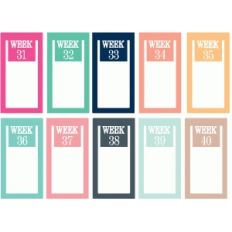 set of 10 weeks 31-40 paperclips