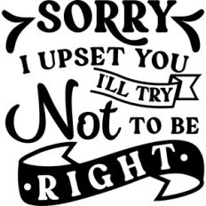 Sorry Upset You Try Not Be Right