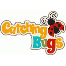 catching bugs title/phrase