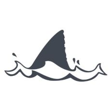 Shark fin on the Water