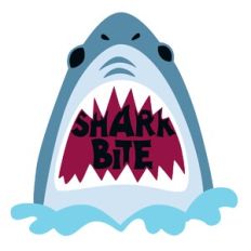 Shark Bite Phrase