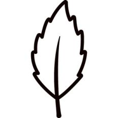 Leaf