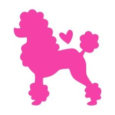 Pink Poodle