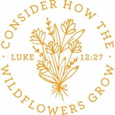 consider how the wildflowers grow