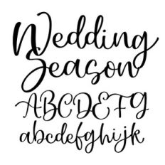BFC Wedding Season Beautiful and Elegant Script Font