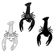 Cute Ocean Lobster