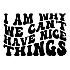 I am why we can't have nice things