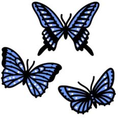 Three Butterflies
