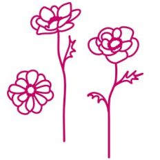 Ranunculus Flowers