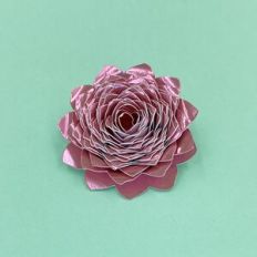 Spiral Flower 01