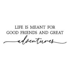 life is meant for good friends | friendship quote