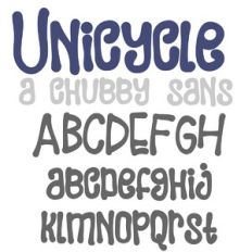PN Unicycle Bold