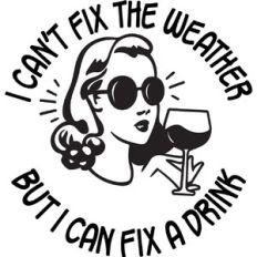 I can't fix the weather