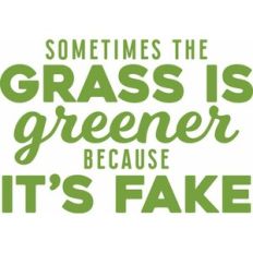 sometimes the grass is greener because it's fake