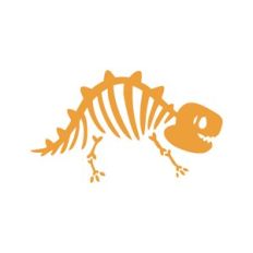 Dinosaur Bones