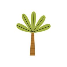 Palm Tree