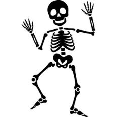 Skeleton
