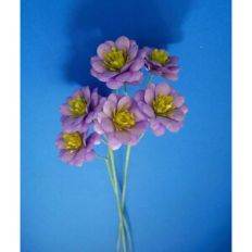 Silvia Flower