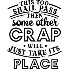 This Will Pass Other Crap Take Its Place