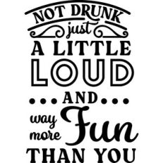 Not Drunk Little Loud and Way More Fun Than You