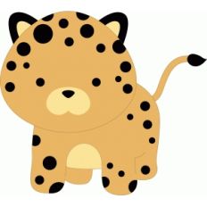 cheetah