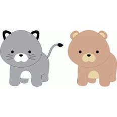dog and cat