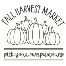 Fall Harvest Market Pumpkins