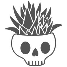 skull with aloe