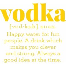 vodka definition