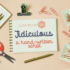 PN Tidiculous Bold