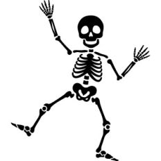 Skeleton