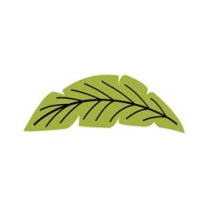 Prehistoric Leaf