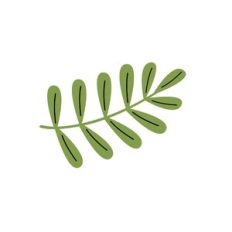 Prehistoric Leaf 2