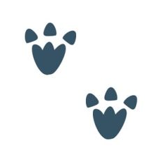 Dino Prints