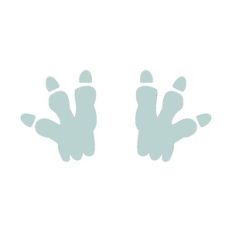 Dino Prints
