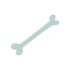Bone