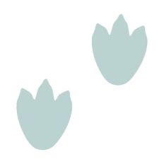 Dino Prints