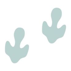 Dino Prints