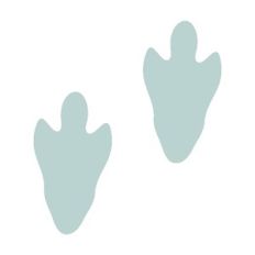 Dino Prints