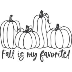 Fall is my favorite