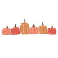 Colored Pumpkins Border