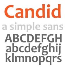 LD Candid Bold