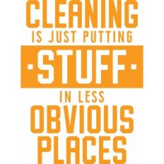 cleaning is just putting stuff in less obvious places